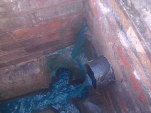 Checking The Flow Of Water With Drain Dye